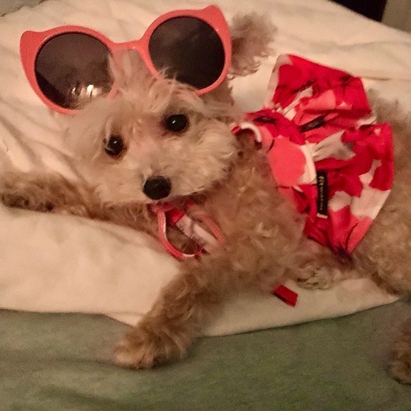 Meet your Posher, Rehnee - Picture 5 of 8